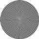 Circular Moiré pattern illusion