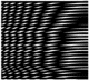 Moiré pattern illusion